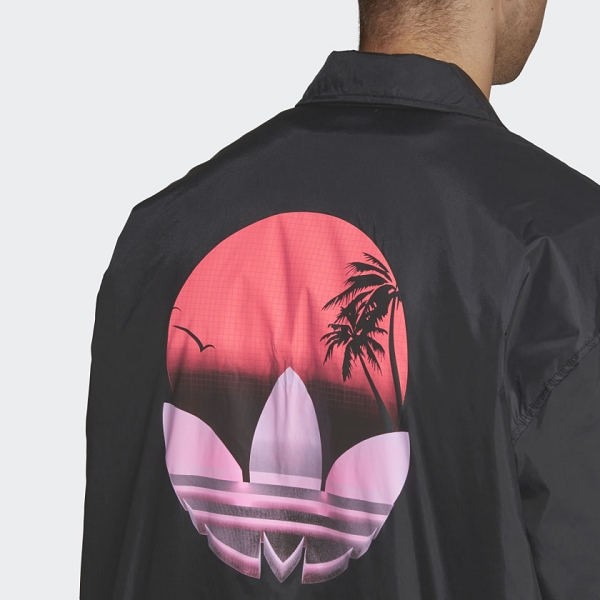 Tropical coach deals
