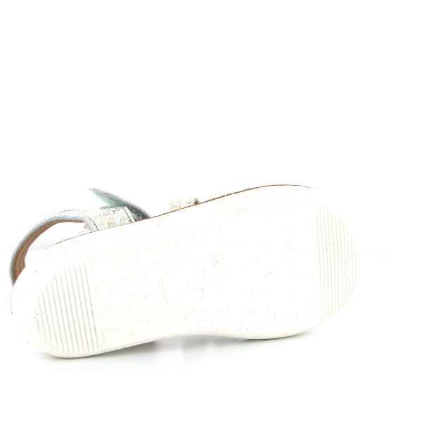 nu pied shoo pom