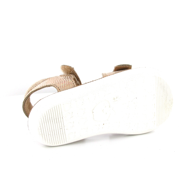 nu pied shoo pom